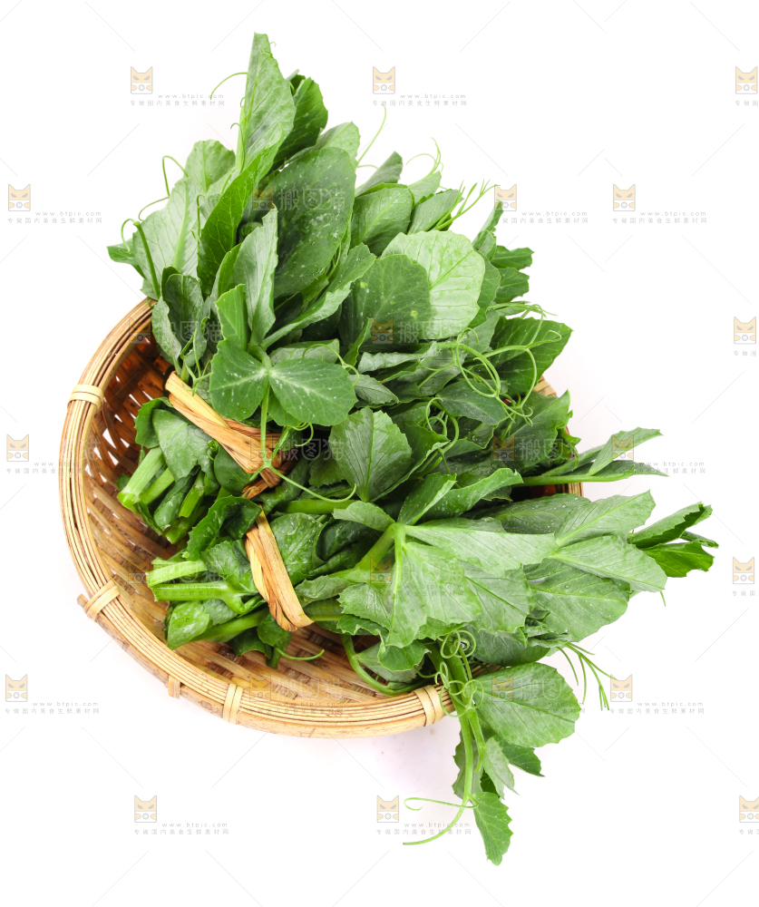 白底上摆放着新鲜豌豆苗