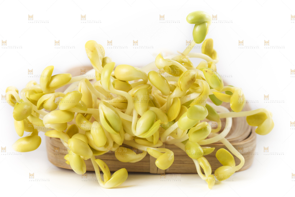 白底上的豆芽