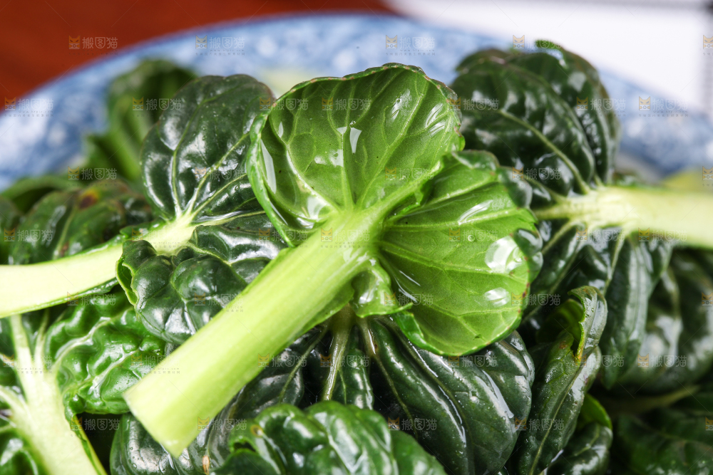 木板上的乌塌菜