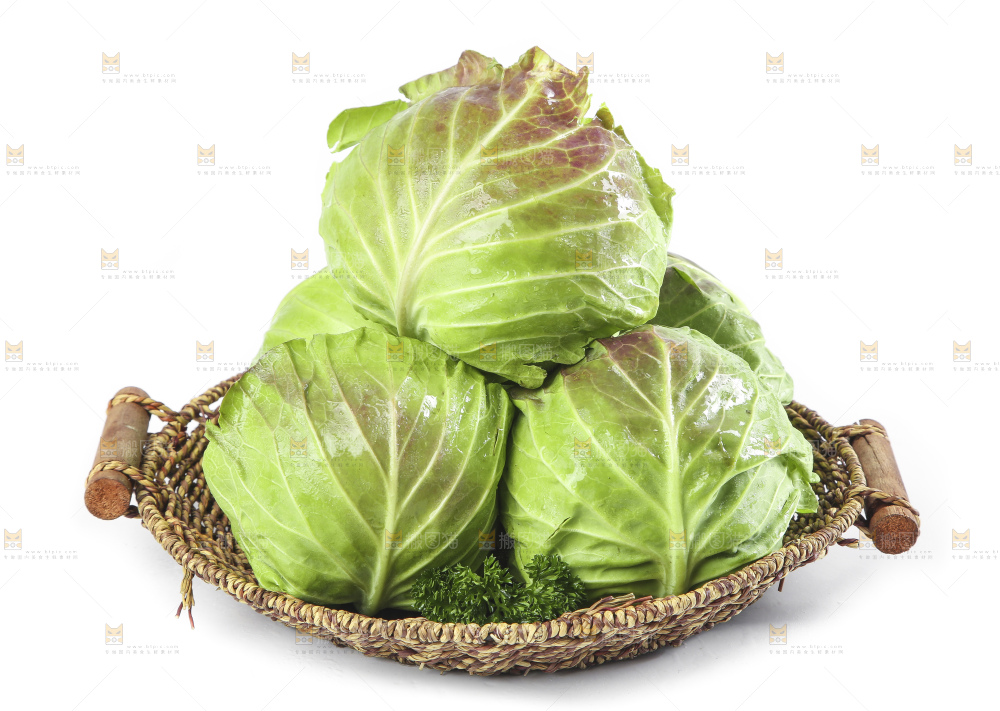 篮子里装着洋白菜