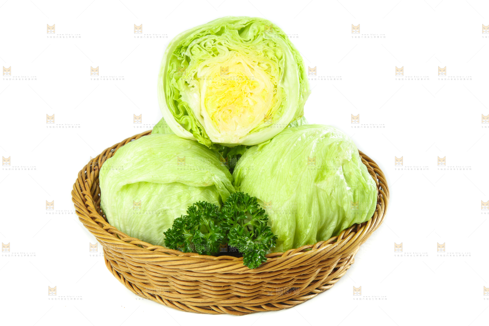 篮子里装着农家圆生菜