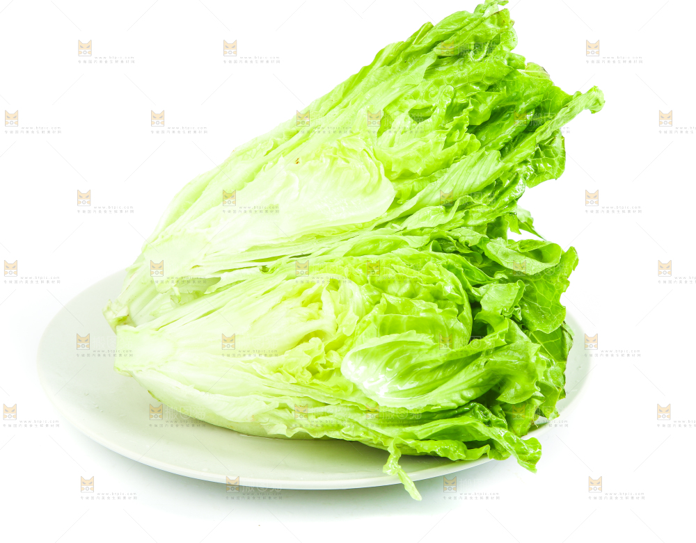 盘子里装着大叶生菜