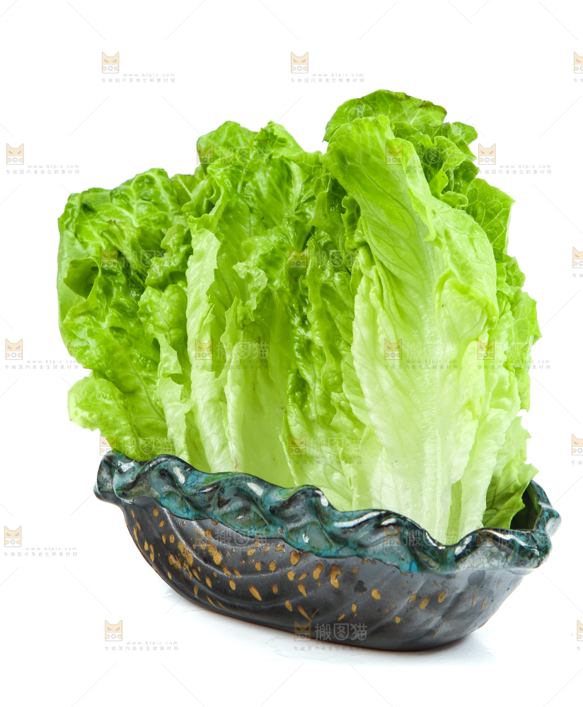 白底上的生菜