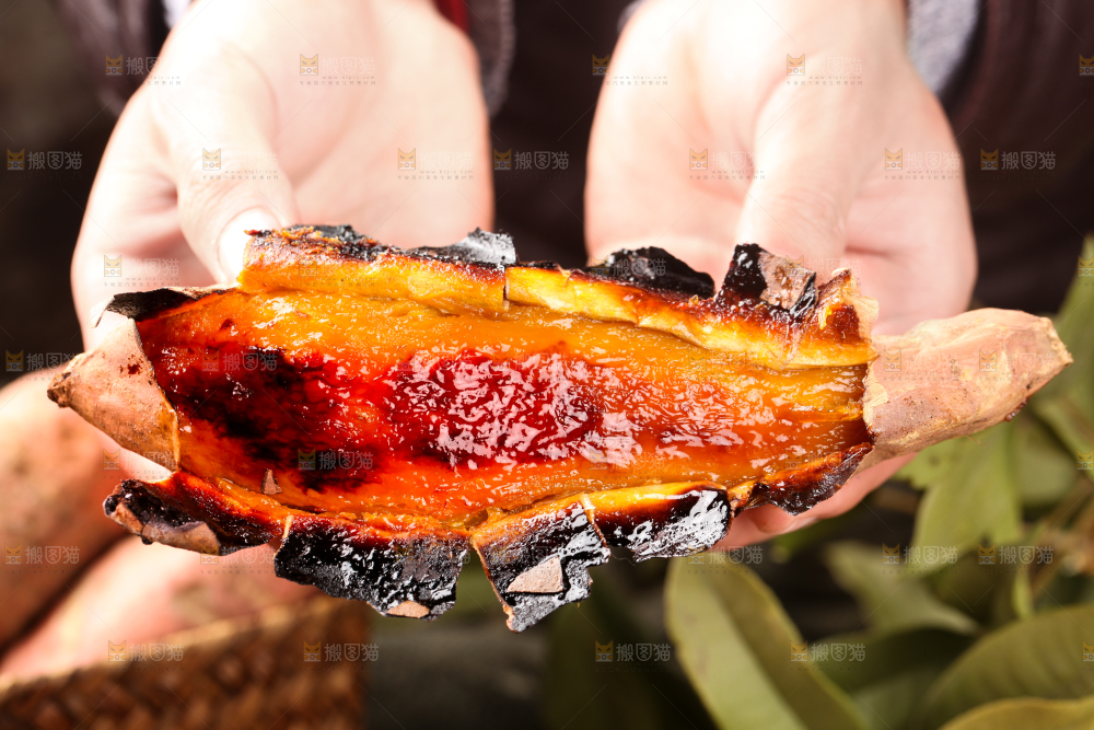 手拿烟薯