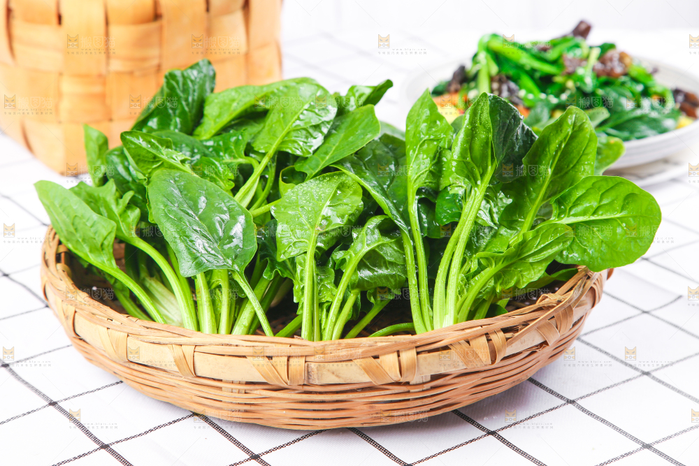 白格子底上的嫩菠菜
