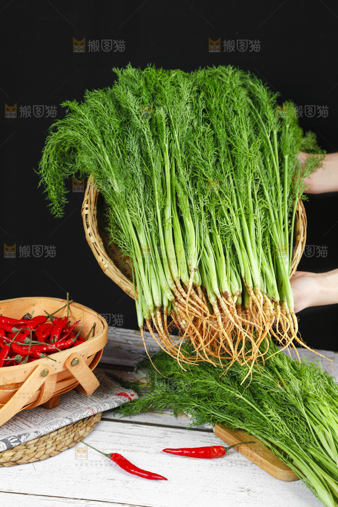 木底上的小茴香菜