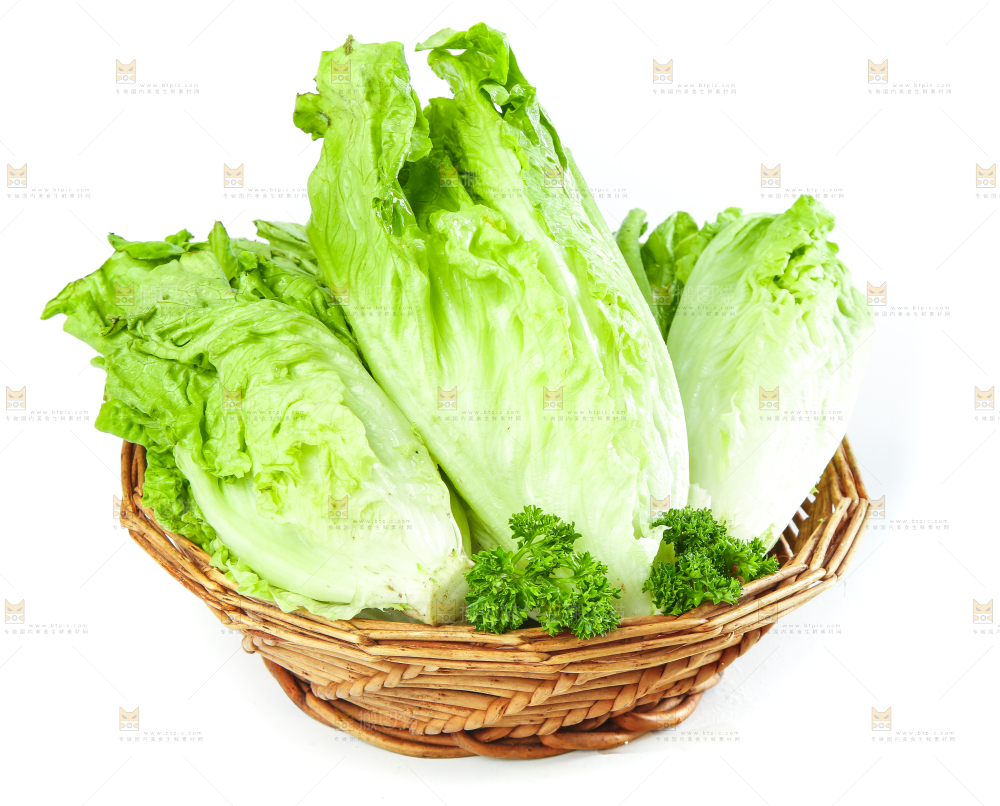 篮子里装着奶油生菜