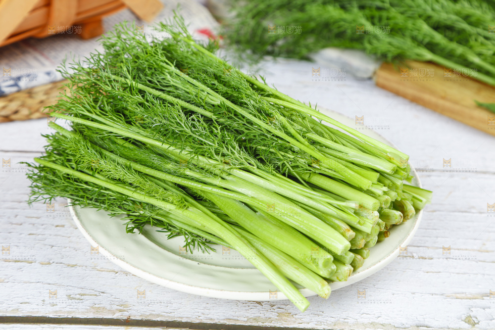盘子里装着农家茴香菜