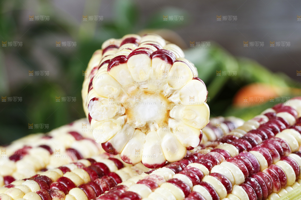 深底上的花糯玉米