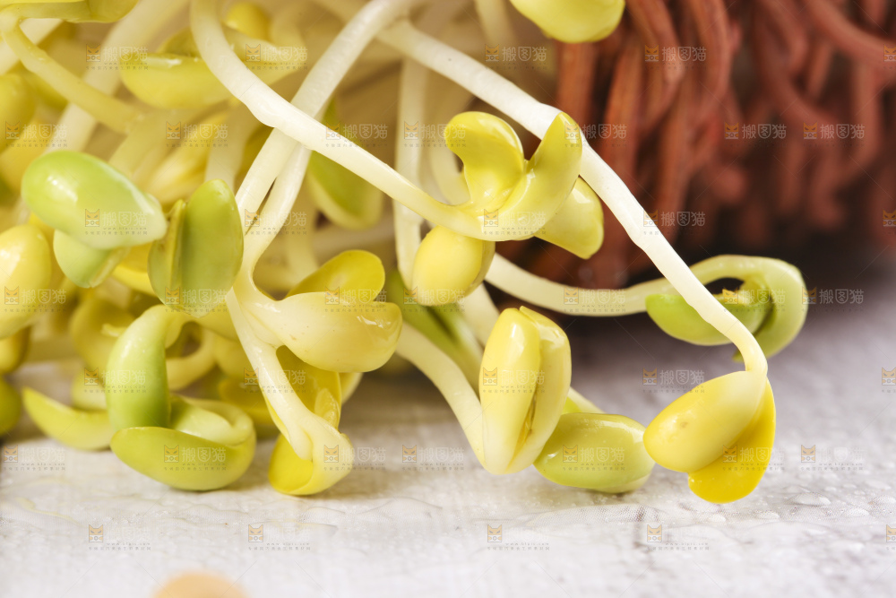 篮子里装着豆芽