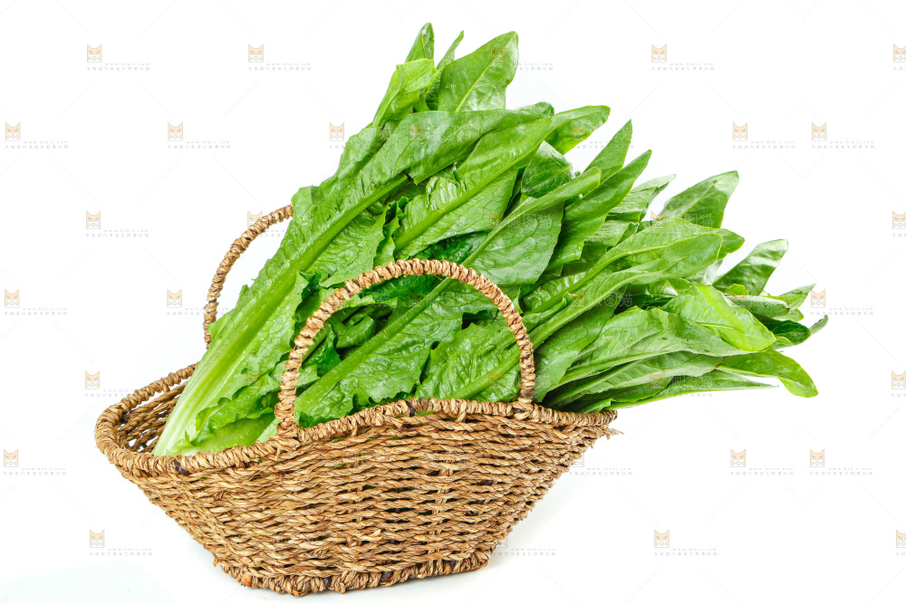 白底上放着油麦菜