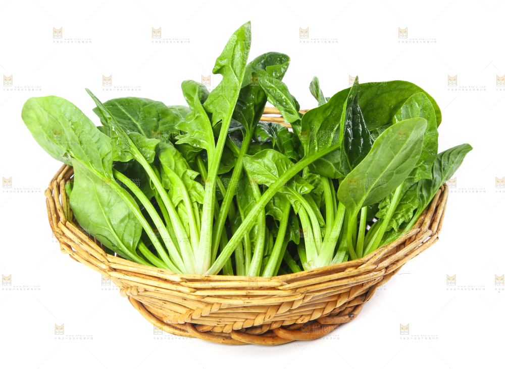 篮子里的红根菠菜