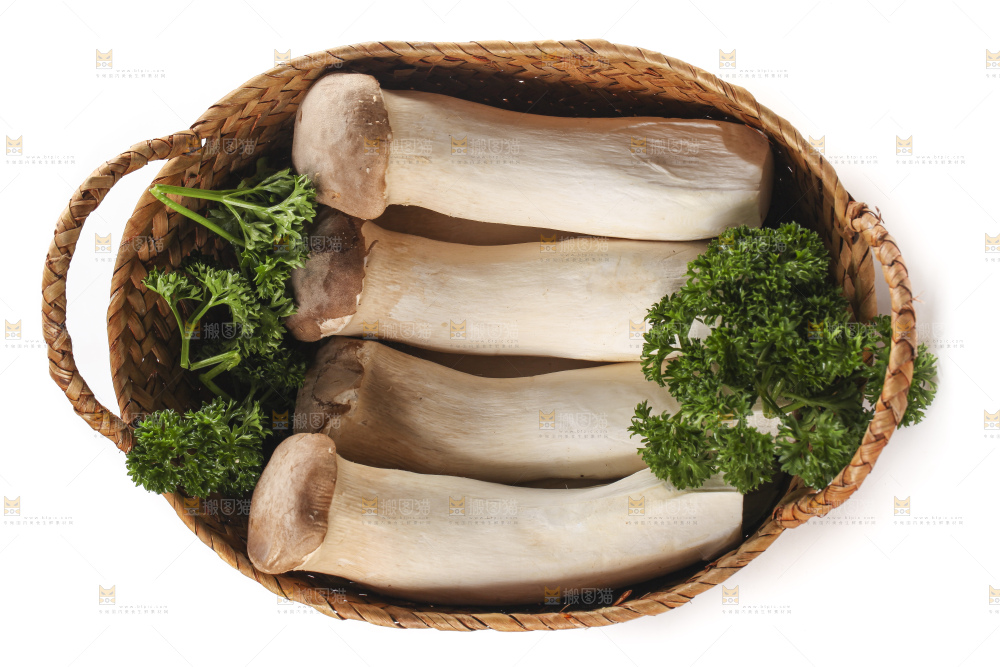 篮子里的菌菇