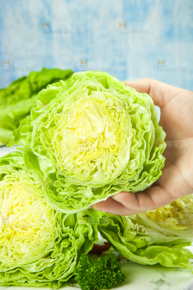 盘子里装着球生菜