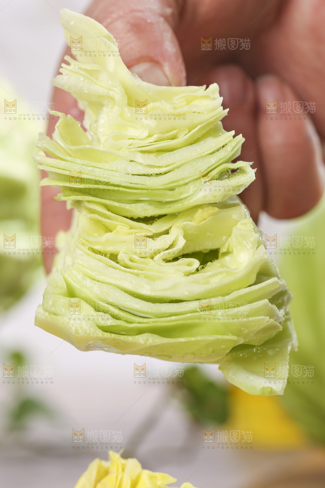 手里拿着洋白菜