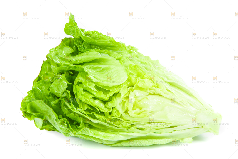 白底上的生菜