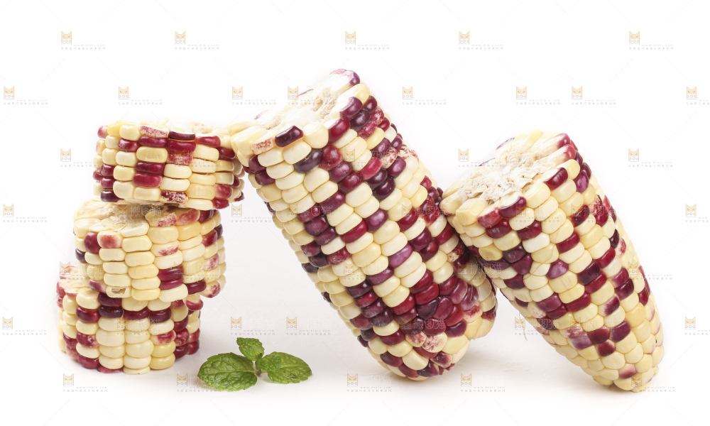 切开的花糯玉米放在白底上