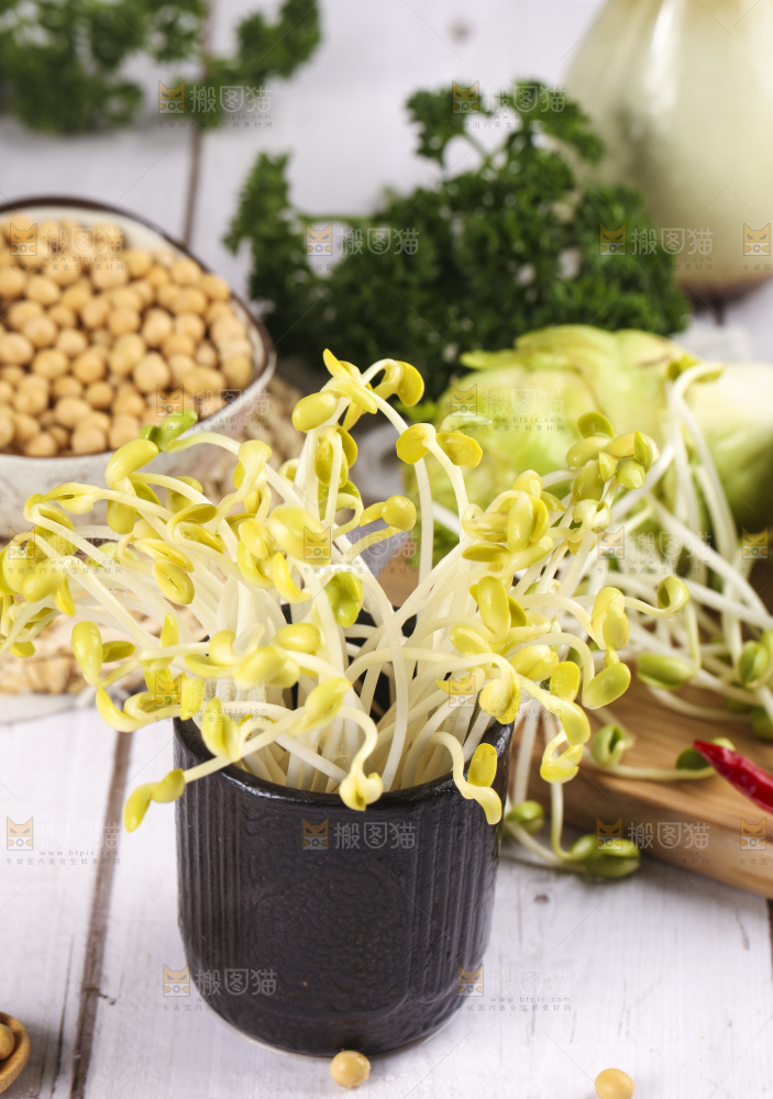 瓶子里放着黄豆芽