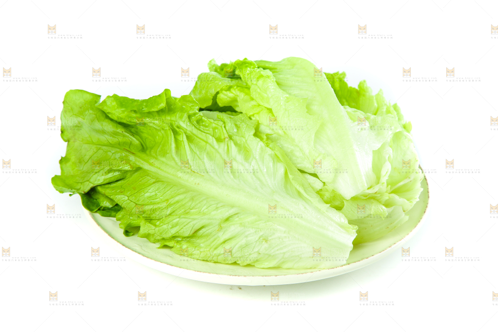 白底上的生菜