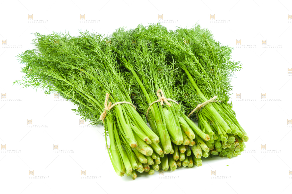白底上放着小茴香