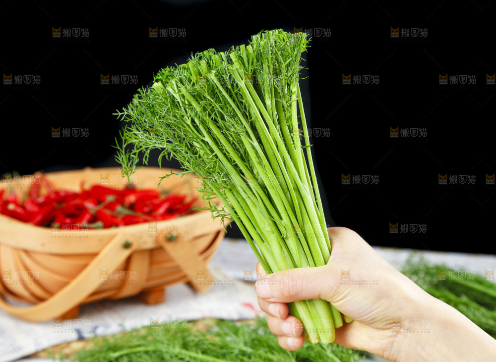 手里拿着小茴香
