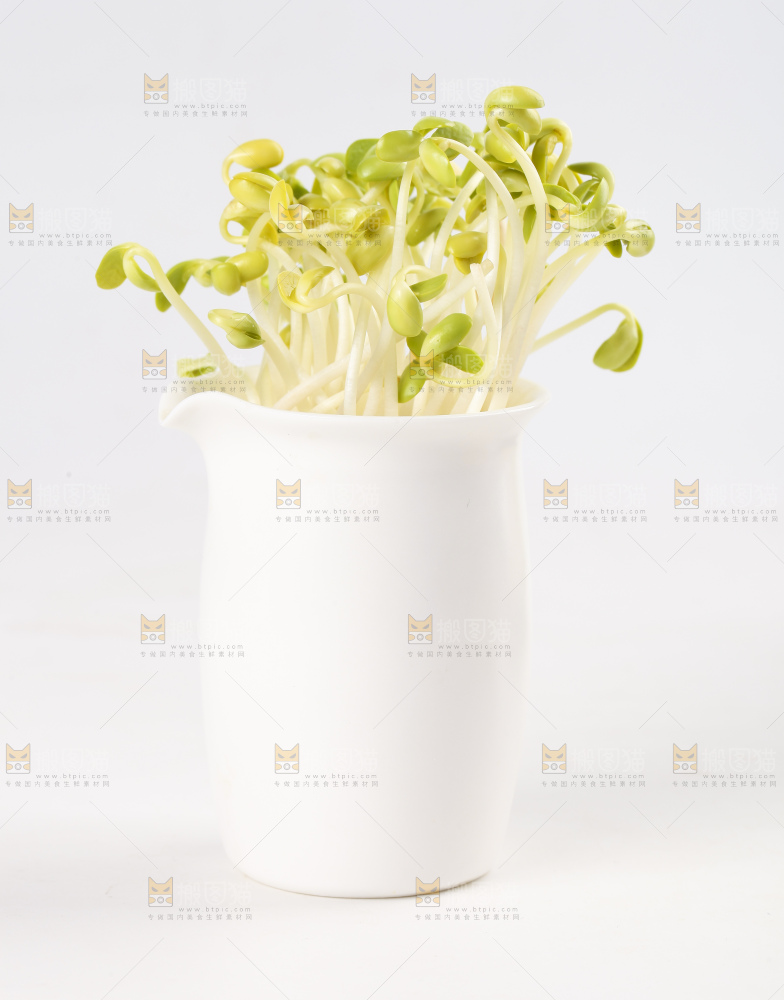瓶子里放着黄豆芽