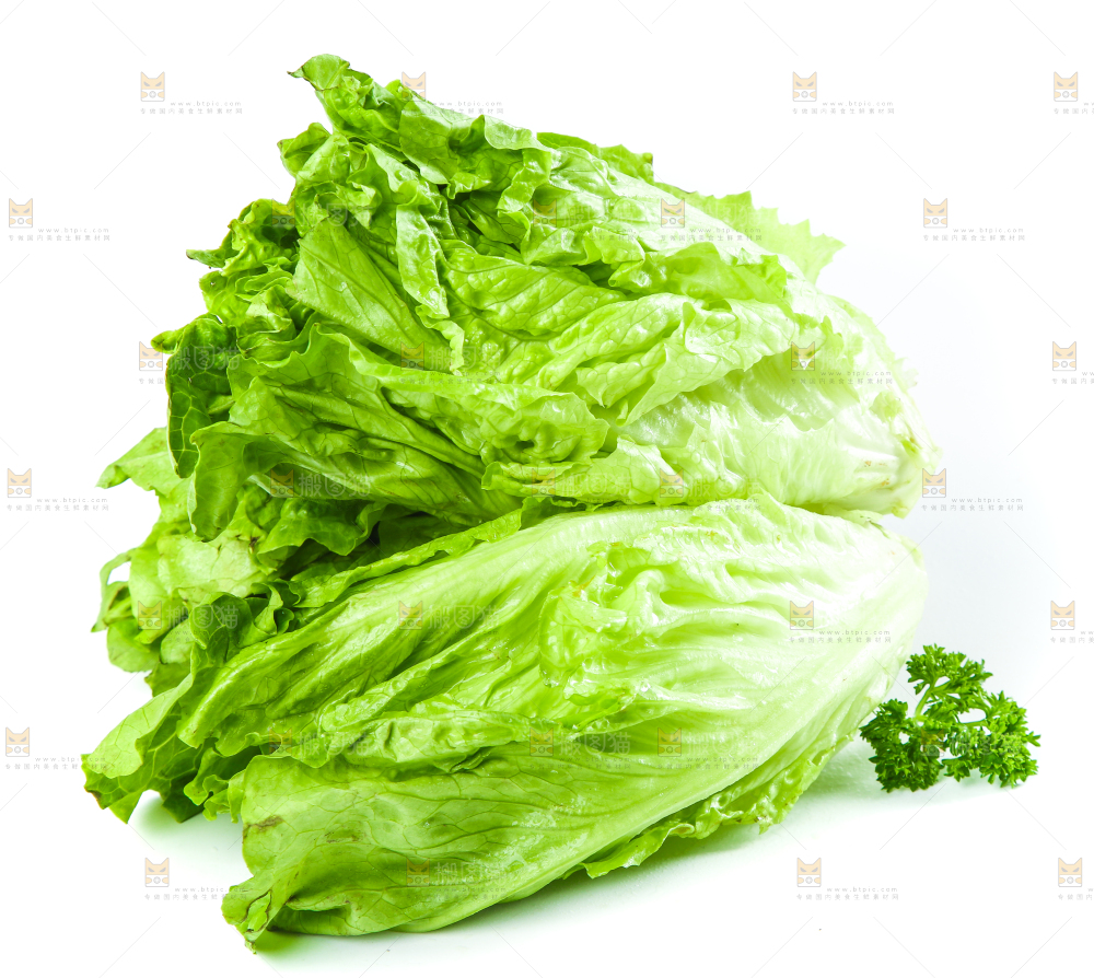 白底上的生菜
