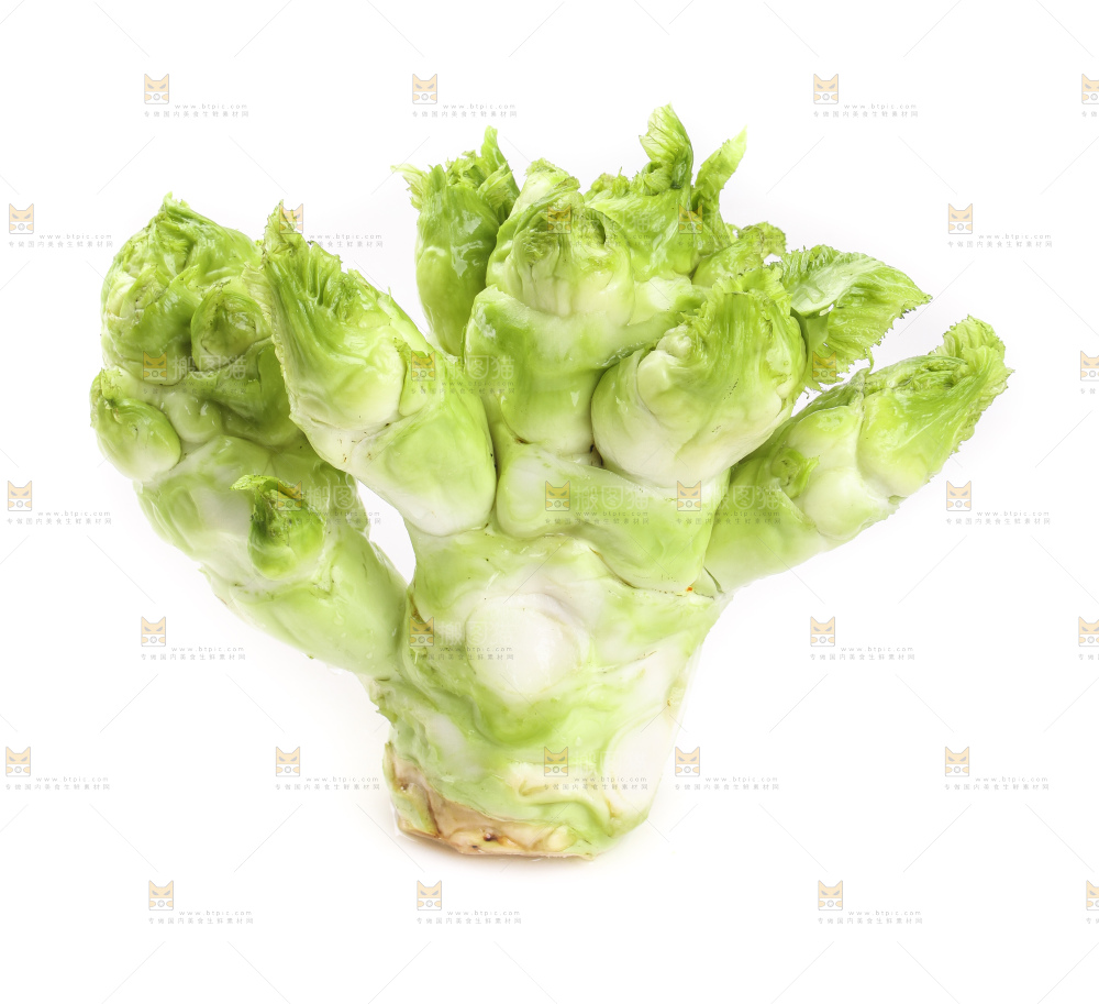 儿菜