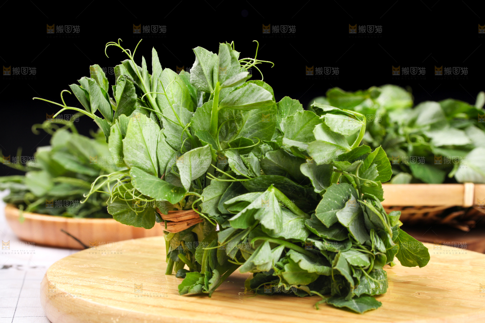 木板上放着农家豌豆尖