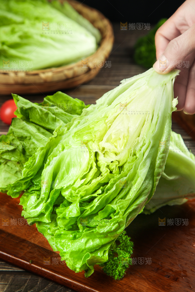 手里拿着生菜