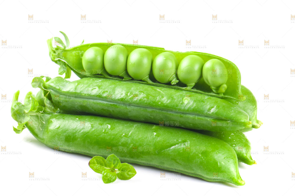 剥开的新鲜豌豆放在白底上