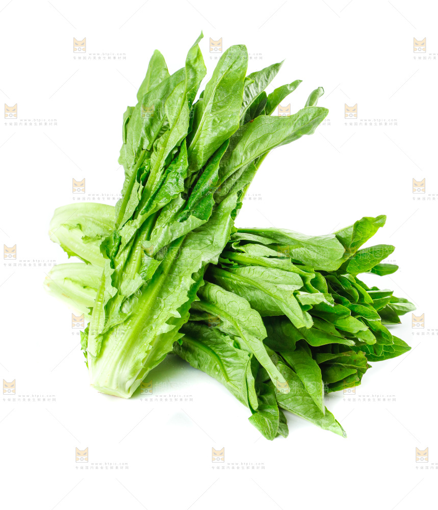 白底上放着油麦菜