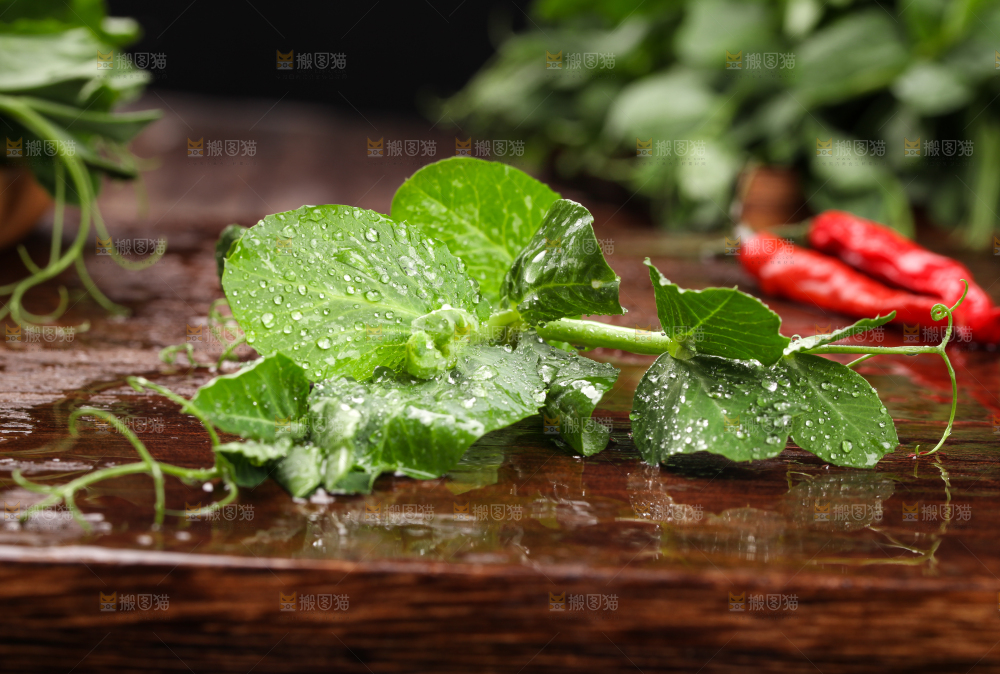 深底上的四川豌豆尖