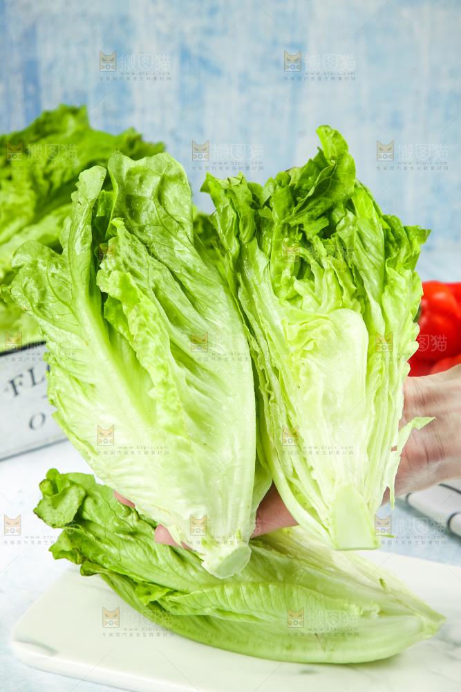 石板上摆放着意大利生菜