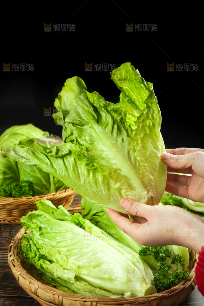 篮子里装着四季玻璃生菜