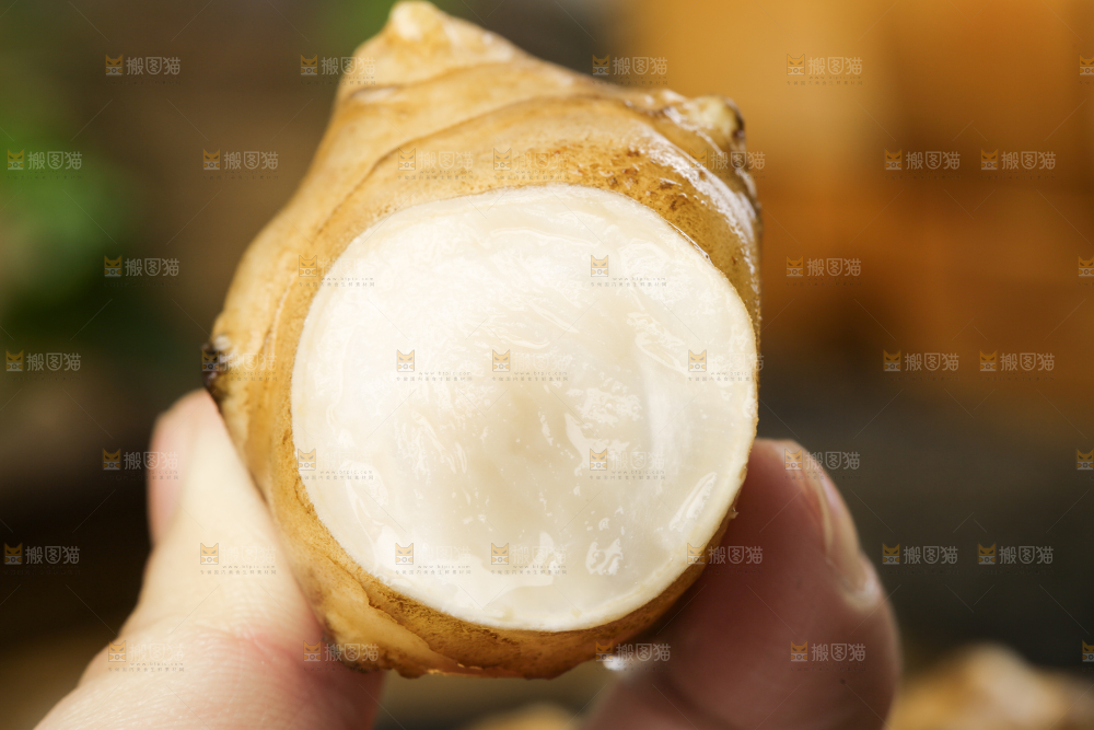 手里拿着地姜
