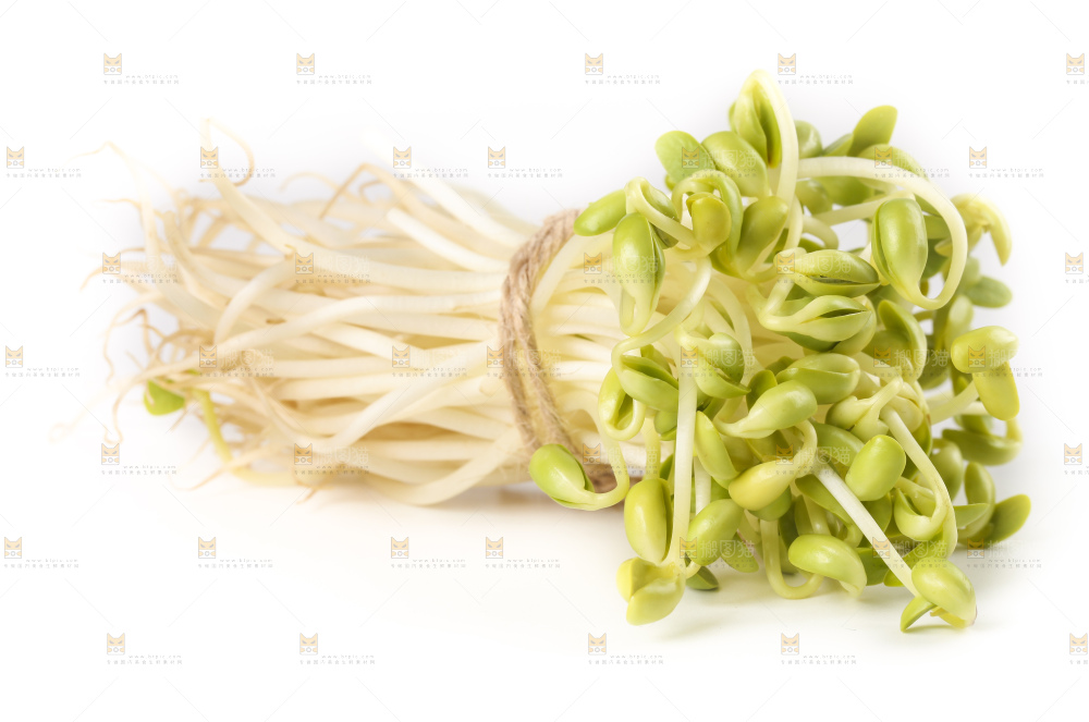 白底上的豆芽
