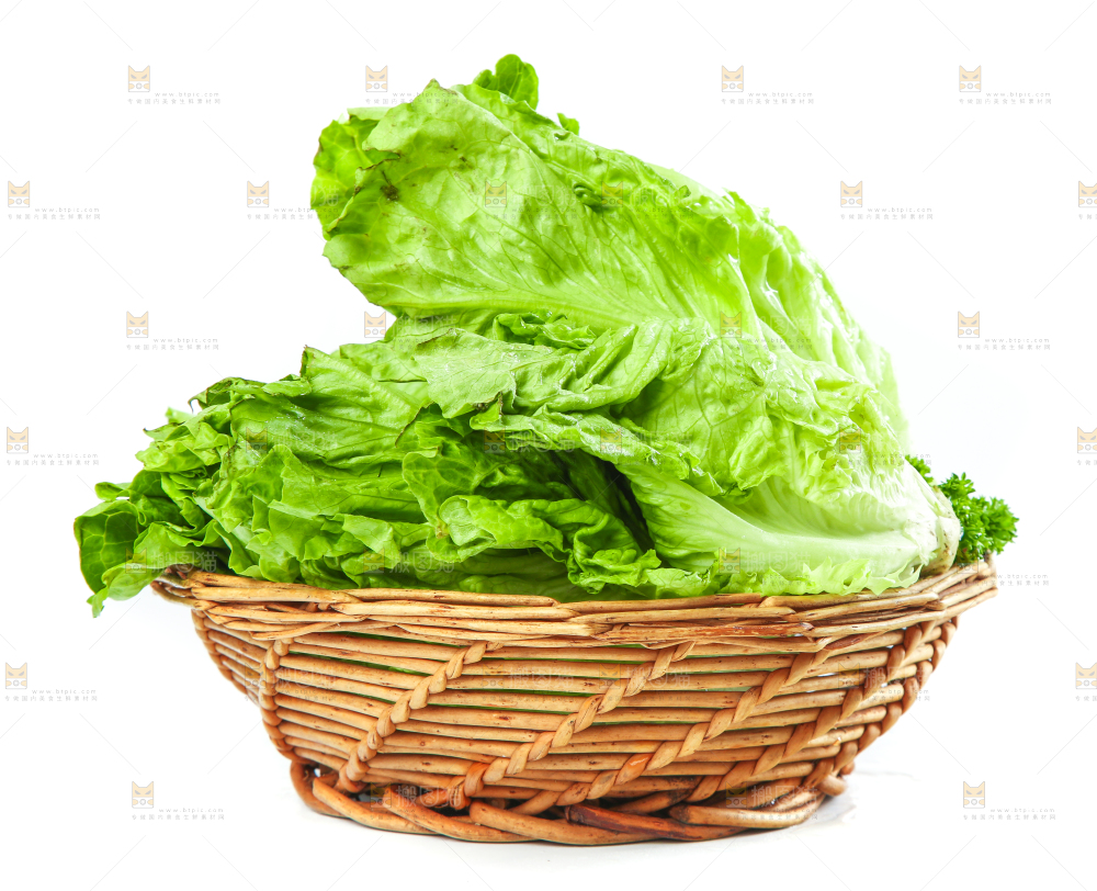 篮子里装着奶油生菜