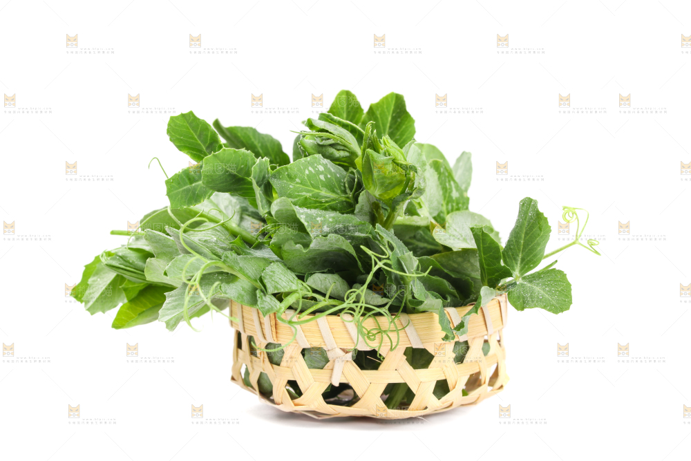 白底上摆放着新鲜豌豆苗