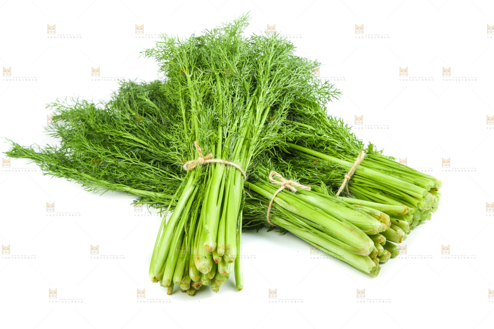 白底上放着小茴香
