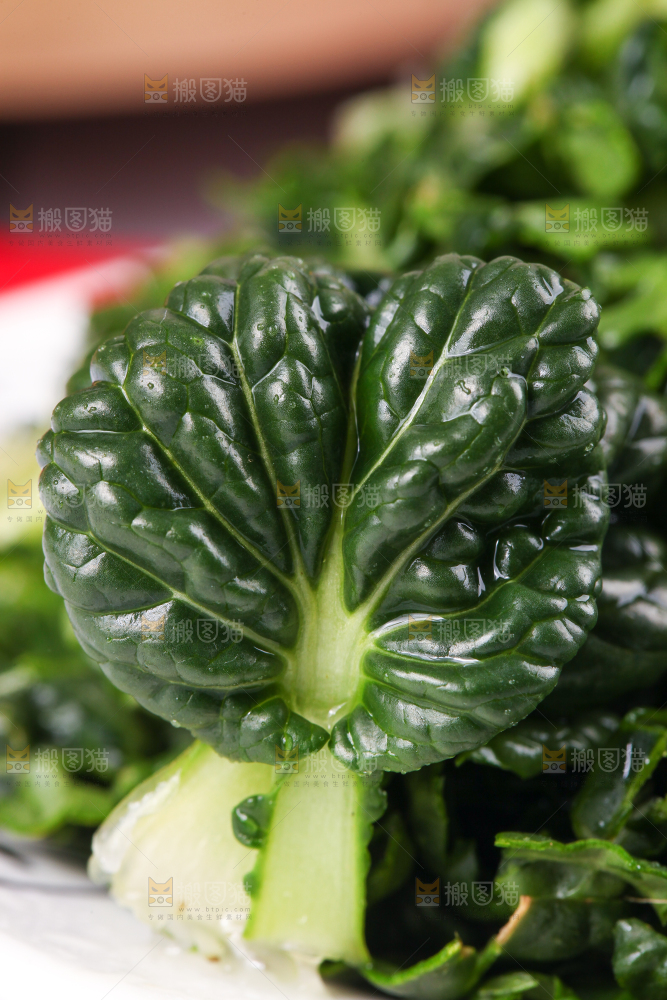 浅底上放着菊花菜