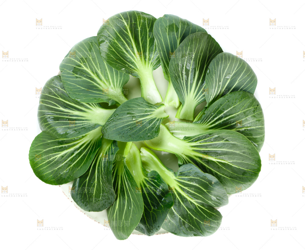 白底上的绿叶菜