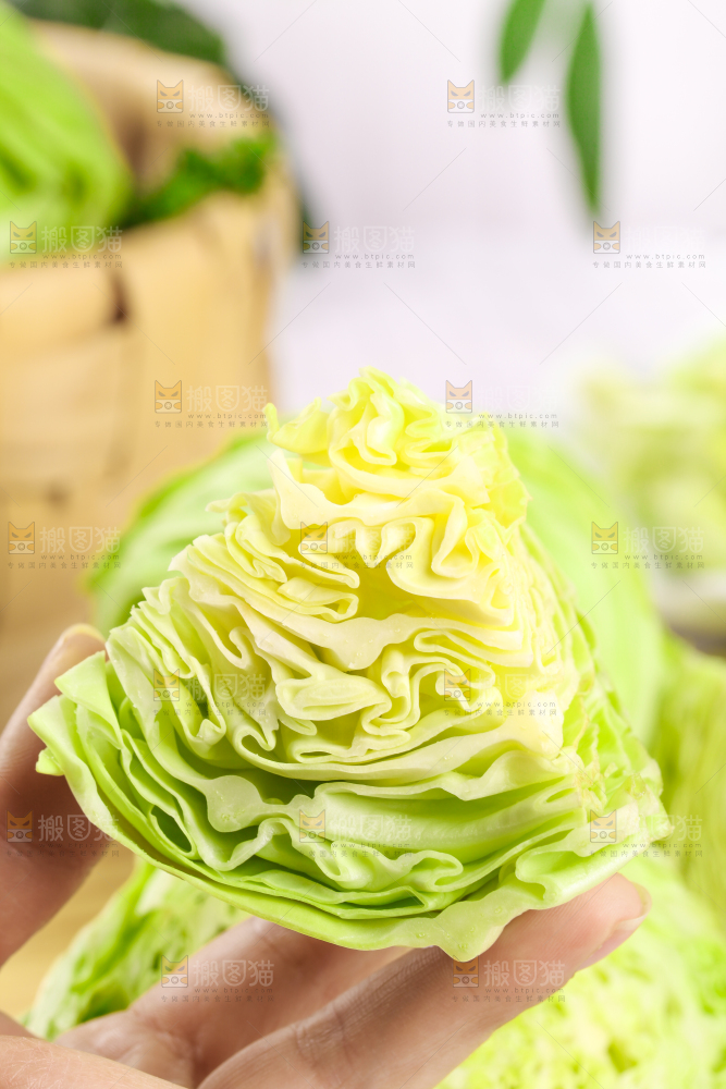手里拿着新鲜洋白菜