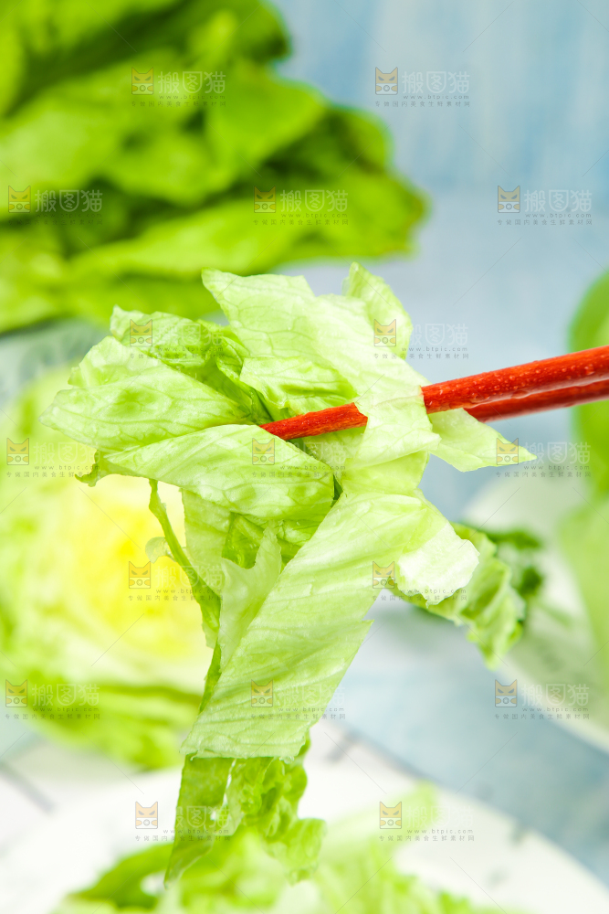 盘子里装着球生菜