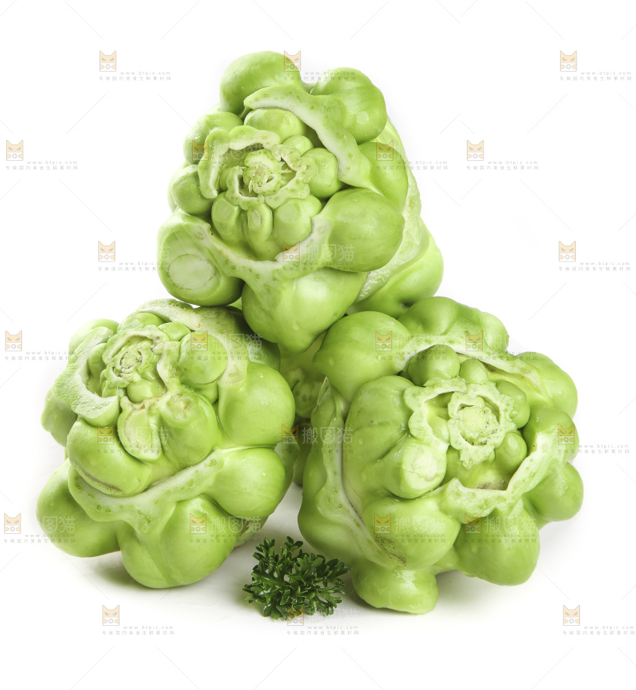 儿菜