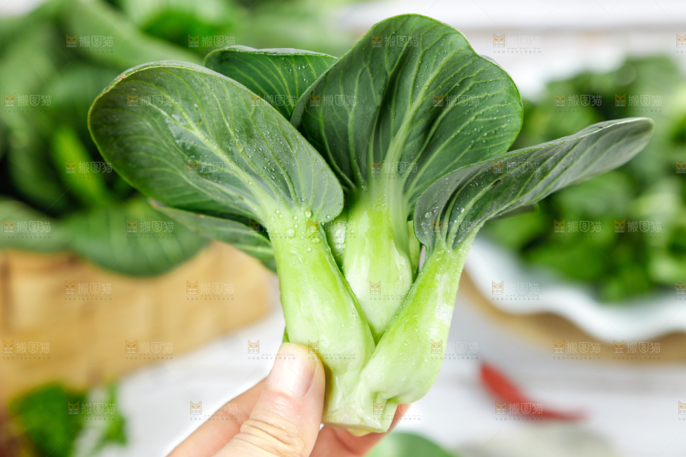 木板上摆放着农家青菜