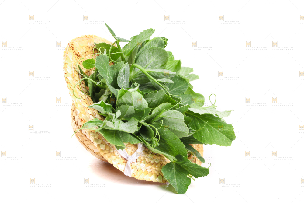 白底上摆放着新鲜豌豆苗