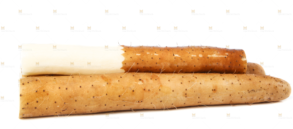 白底上的新鲜山药