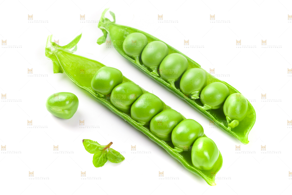 剥开的新鲜豌豆放在白底上