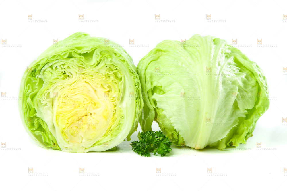 白底上的新鲜生菜